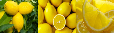 Limón - Propiedades y Beneficios